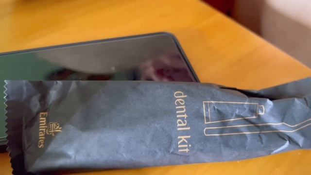 WHAT FLYING EMIRATES BUSINESS CLASS 🇦🇪 DUBAI TO 🇵🇭 MANILA FELT LIKE 👀| BOEING 777-300ER EK336 смотреть онлайн