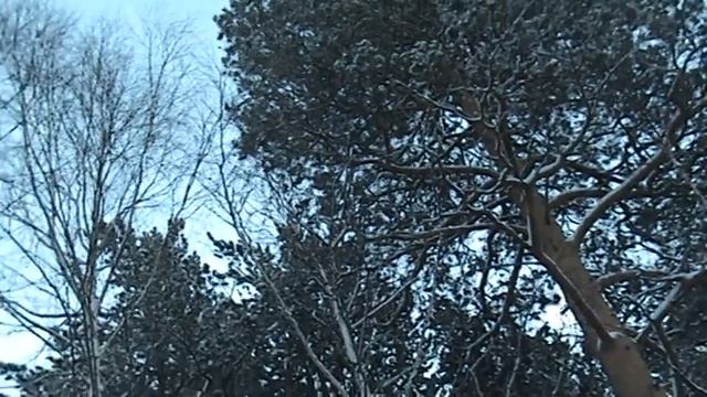 50 оттенков серого, местный ремикс