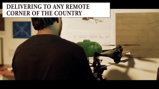 Grasshoppers - Delivery service for your small e-com business смотреть онлайн