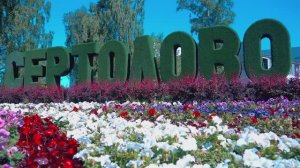 Сертолово