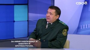 Сохранить популяцию диких животных на Ставрополье