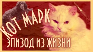 ЛЕЧЕНИЕ КОТА МАРКА: восстановление после мочекаменной болезни.Эпизод из жизни моего КОТА.