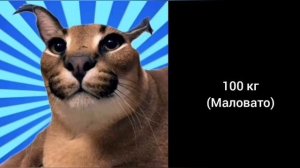 Сборник радостных лиц шлёпы: 9 видео 5 мин