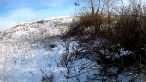 Охота на зайца русака (МР-155-поличок).