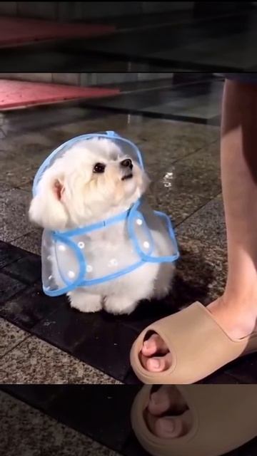 5 (1) смотреть онлайн