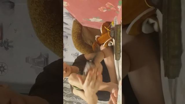 Распаковка собаки сумки из магазина и ещё коллекция моих древних денег