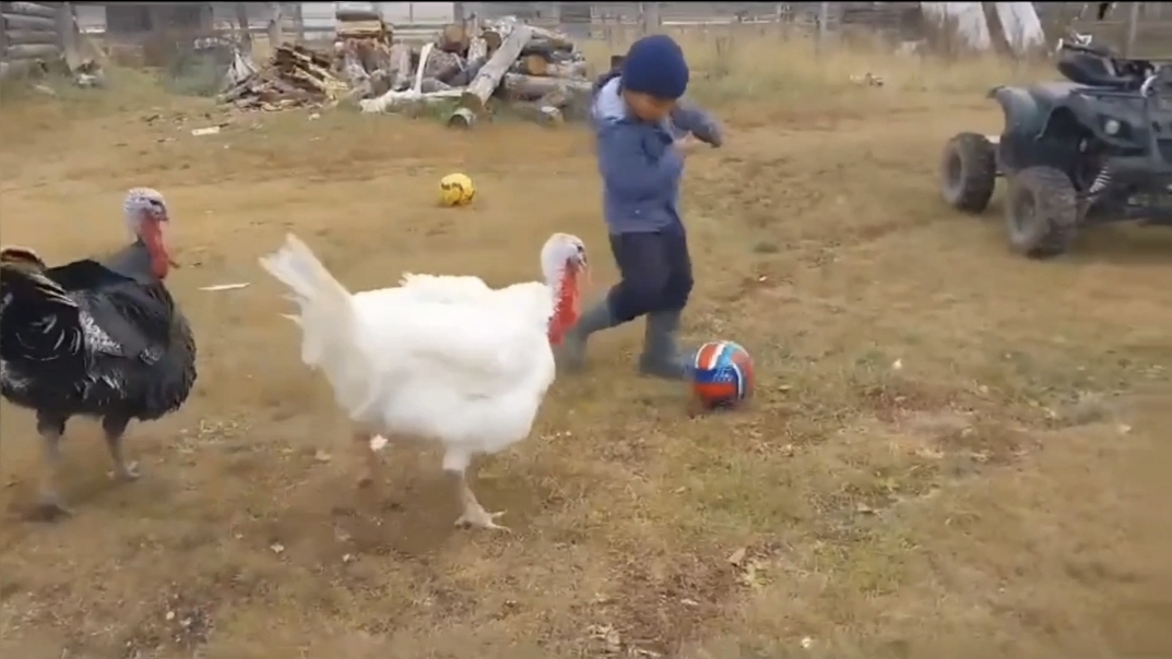 Ржал до слез 😂 15 минут смеха. Смешные видео. Лучшие Лютые ПРИКОЛЫ. Подборка приколов. смотреть онлайн