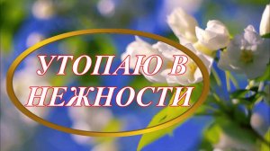 Ирина Верина-Михалкина – «Утопаю в нежности», читает автор