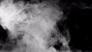 Блокадная книга_