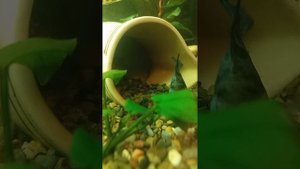 Скрытое.Скрытая съёмка.