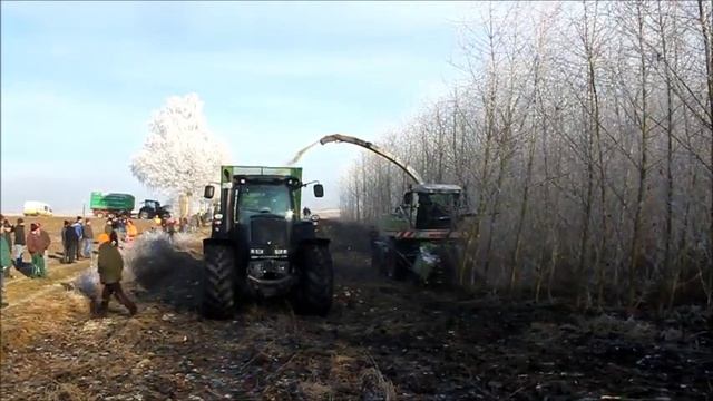 SRC+: Harvest of a Short Rotation Coppice Plantation in Bavaria, Germany