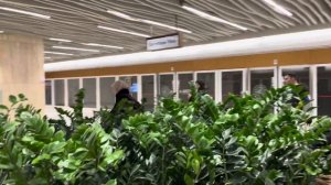 Стамбул в феврале 2024. Из нового Аэропорта в Стамбул.