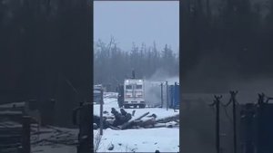 Сегодня медведь проник на объект и задрал двоих человек оба в тяжёлом состоянии