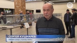 Российская Выставка Спортивных Голубей 18.01.2025.