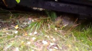 На какой автомобиль, можно поменять Pajero 4 Или как мы ездили в Мирный .