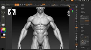 6 -Body Pores