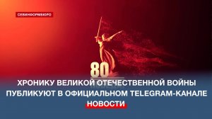 Официальный канал в честь 80-летия Победы в Великой Отечественной войне создан в Telegram