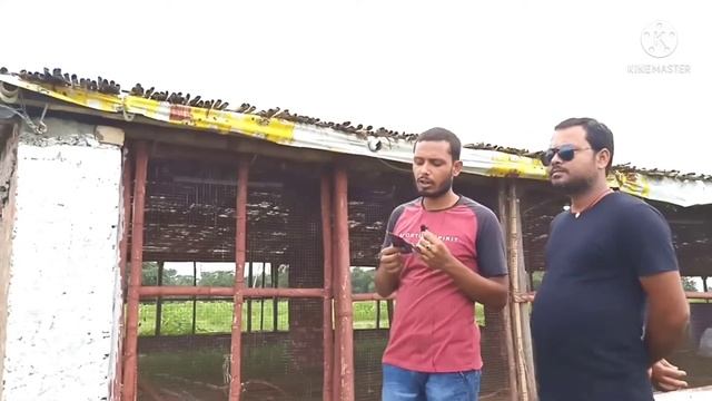 poultry farm business plan poultry farm shed construction poultry farm shed construction cost lagat