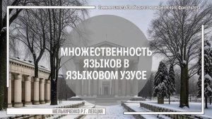 Множественность языков в языковом узусе