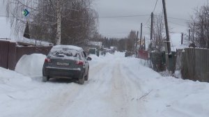 Под Сыктывкаром на Дырносских дачах заметили хищников