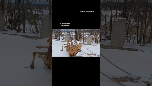 Парк Бастион Полное видео на канале Тайная жизнь насекомых #семейныйканал  #дети #бастион #сортавала