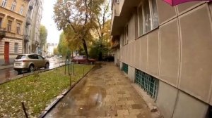 прогулка в дождь