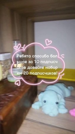 Спасибо за 10 подписчиков💗! Давайте набирем 20 подписчиков!