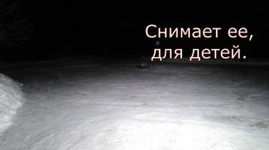 Лиса Карелии. Наша маленькая традиция. Гостинцы.