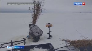 Мягкая зима стала живительна для рыбы в костромских водоемах