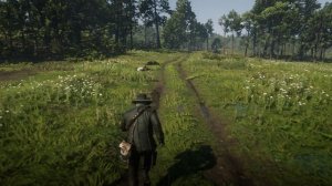 Red Dead Redemption 2 | 3840x1080 | Ryzen 5 7500f + RTX 3060ti