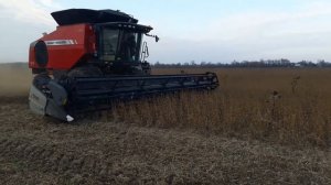 Демонстрація роторного комбайна Massey Ferguson T7 на соєвих полях