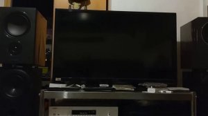 Yamaha Rn 803 ,Mission  Lx2+ Sound Test