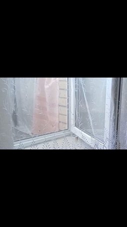 так вот и живём #cat #котик #сева #животные