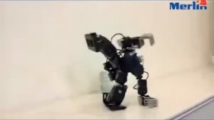 Движения Merlin RoboBuilder RQ Huno