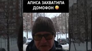 Домофон Алиса троллит жильцов. Алиса домофон 😜