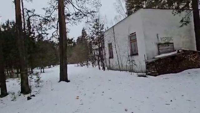 турист2.mp4