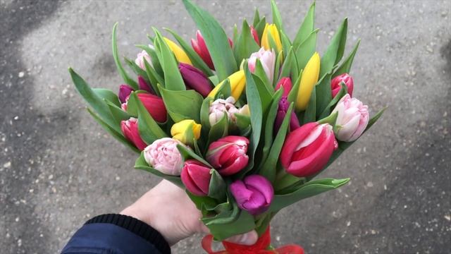 Голландские тюльпаны