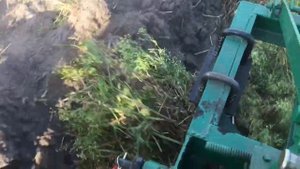 Оранка плугом 1-25. Трактором шифенг 240