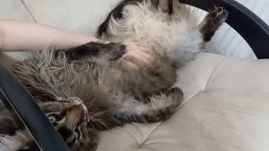 Отдых Мейн куна Севы. Как у вас проходят выходные))) Поделитесь)))