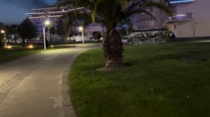 Сочи парк отель  2024. Вечерняя прогулка.