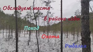 Обследуем места в районе избы. Поход, охота, рыбалка. #лес #hunting #survival #природа