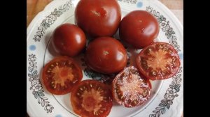 Часть 4. КАТАЛОГ ТОМАТОВ. Коллекционные томаты. Место выращивания -  г. Киров.