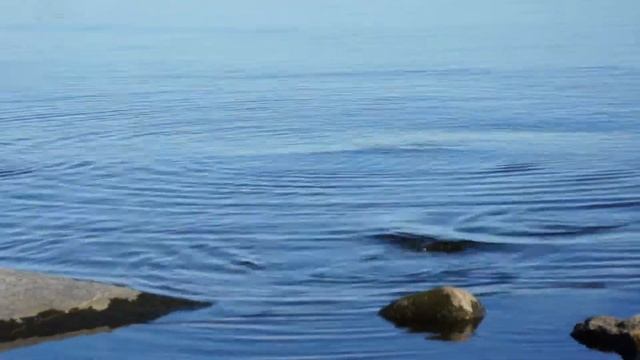 Ladozhskoe zhivaya voda смотреть онлайн