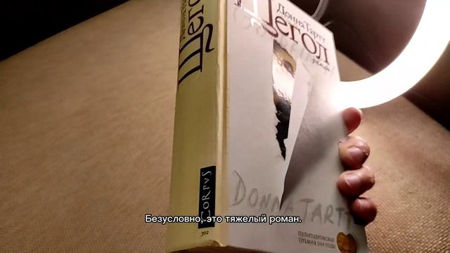 Почти обзор на книгу "Щегол" Донна Тартт смотреть онлайн
