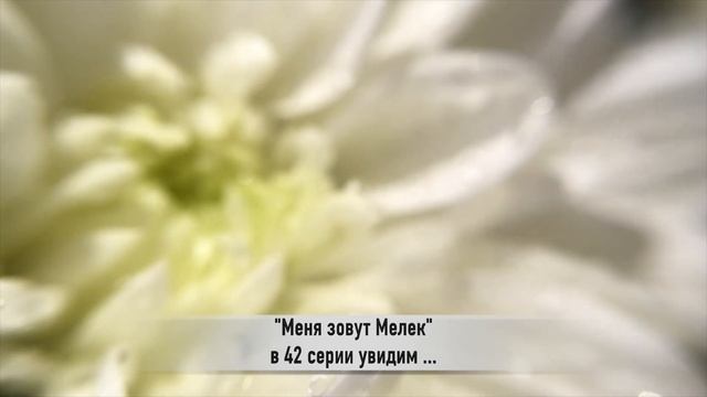 МЕНЯ ЗОВУТ МЕЛЕК 42 серия РУССКАЯ ОЗВУЧКА смотреть онлайн