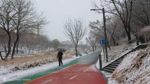 눈 내리는 서울 강남 도곡동 타워팰리스, 양재천 산책로 함께 걸어요. 서울