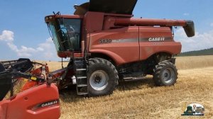 Пришли на помощи и отрегулировали неопытным комбайнёрам комбайн Case IH 5130!