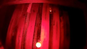 Прозрачный улей, наблюдение за пчёлами во время зимовки