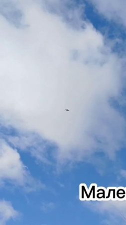 маленькое чудо. полное видео на канале