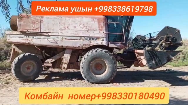 Арзан Комбайн Сатылады /Шымбай 2023/Каракалпакстан /Агробизнес /Шымбай малбазар /Скотный рынок /